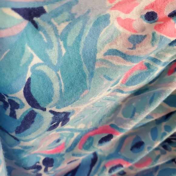 Lilly Pulitzer Blue and Pink Dress Size Women's Small - Picture 8 of 11